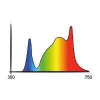 Secret Jardin Cosmorrow LED 20 W Bloom