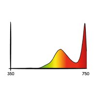 Secret Jardin Cosmorrow LED 20 W Infrarot / Infrared