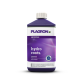 Plagron Hydro Roots 1L