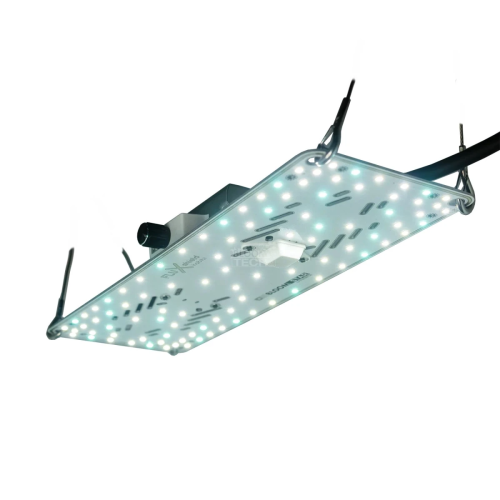 BloomStar FLUXshield Habibi 140 - 50W Wachstum LED